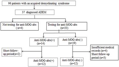 Clinical and Neuroimaging Characteristics of Pediatric Acute Disseminating Encephalomyelitis With and Without Antibodies to Myelin Oligodendrocyte Glycoprotein